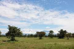land-04 land-04