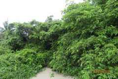 IMG_0002 IMG_0002