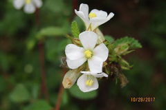 IMG_0007 IMG_0007