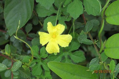 IMG_0008 IMG_0008