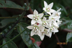 IMG_0012 IMG_0012