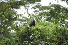 IMG_0035 IMG_0035