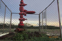 IMG_1717 IMG_1717