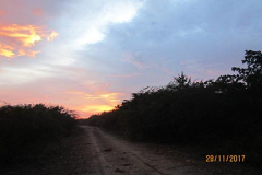 IMG_1724 IMG_1724