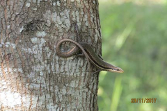 IMG_1763 IMG_1763