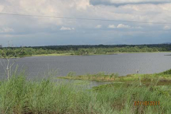 IMG_1781 IMG_1781