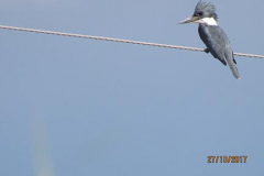 IMG_1786 IMG_1786