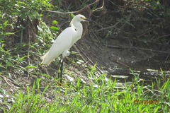 IMG_1800 IMG_1800