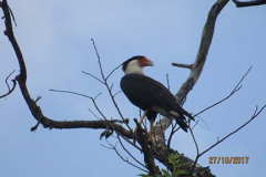 IMG_1806 IMG_1806
