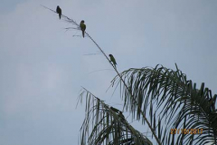 IMG_1819 IMG_1819