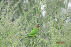 IMG_1830 IMG_1830