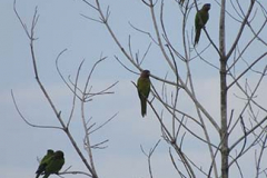 IMG_1845 IMG_1845