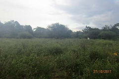IMG_1857 IMG_1857
