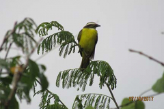IMG_1874 IMG_1874