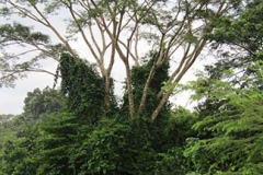 IMG_1877 IMG_1877