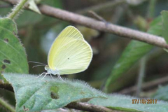 IMG_1887 IMG_1887