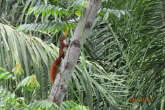 IMG_1974 IMG_1974