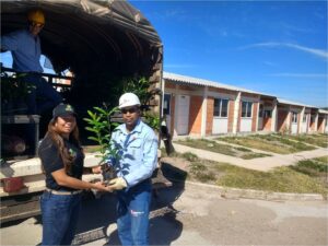 Programa de Arborizacion 2 DLTD_