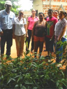 Programa de arborizacion3_DLTD